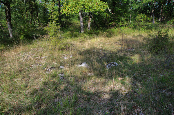 Un autre dolmen  Marcigaliet?