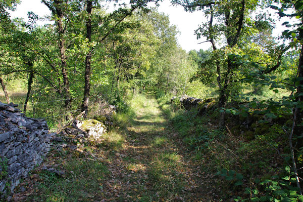 Le chemin le long de La Place Longue