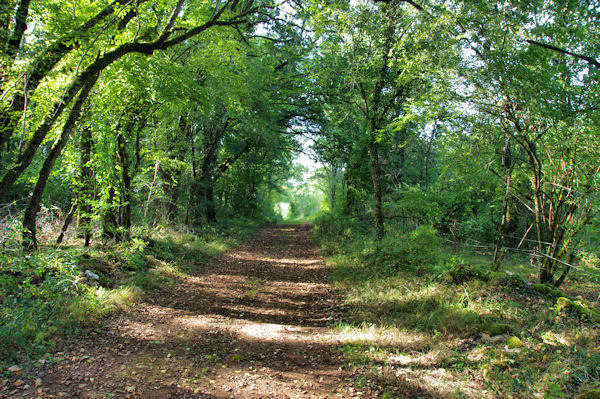 Le chemin le long de La Place Longue