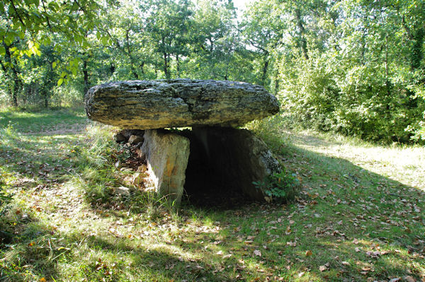 Le dolmen de Peyco Levado