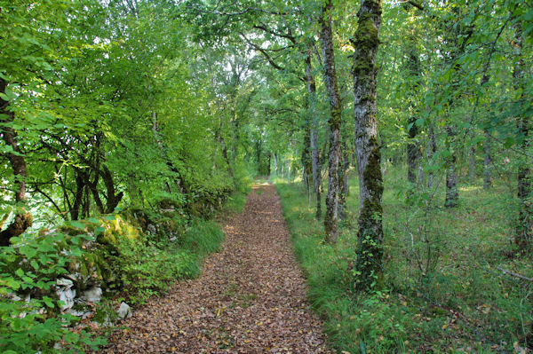 Le chemin  La Peyre Lvade