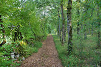 Le chemin a La Peyre Levade