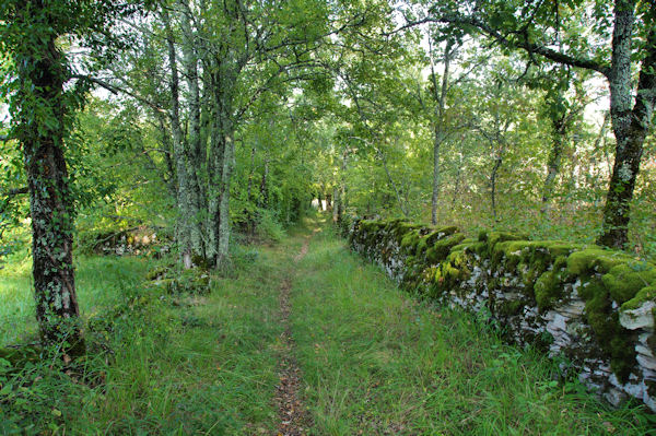 Le sentier vers Camps de Sabrier