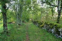 Le sentier vers Camps de Sabrier