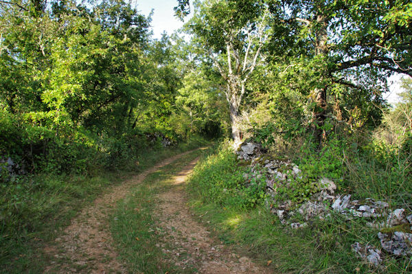 Le chemin vers Camps de Sabrier