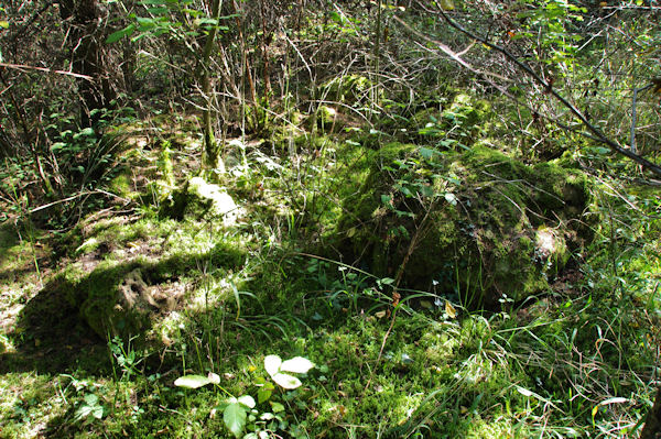 Le dolmen de la Borie du Bois?