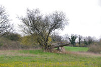 Le dolmen de Mas de Rolland