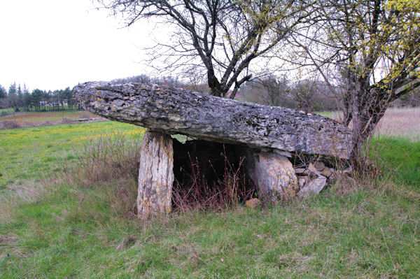 Le dolmen de Mas de Rolland