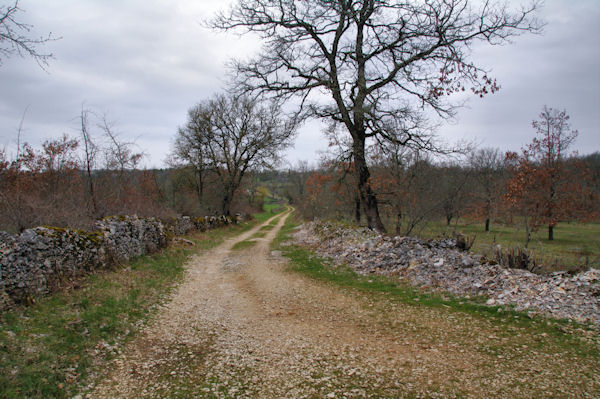 Le chemin aprs Puy de Capy
