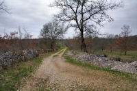 Le chemin aprs Puy de Capy