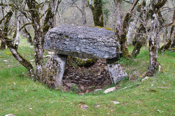 Un dolmen vers les Condamines