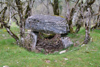 Un dolmen vers les Condamines