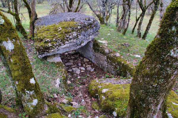 Un dolmen vers les Condamines