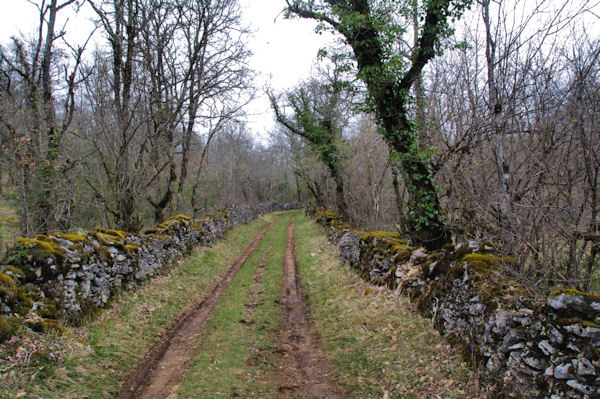 Le chemin vers Pech Polat