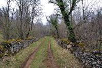 Le chemin vers Pech Polat