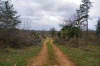 Le chemin  Lou Clau des Bassives