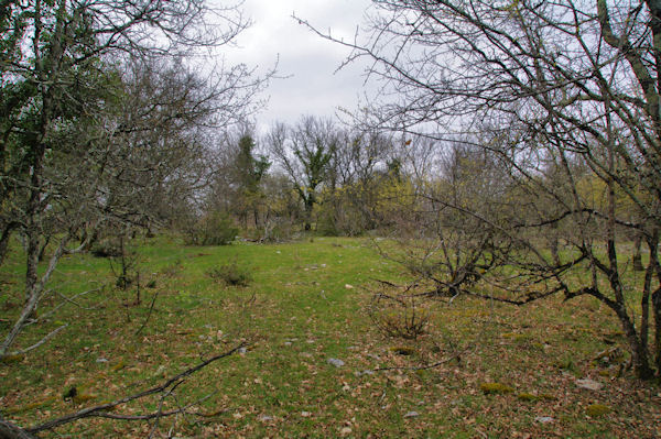 Hors sentier  Lou Bosc