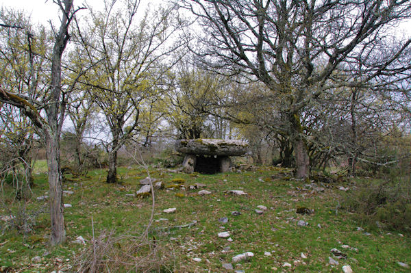 Le dolmen de Lou Bosc