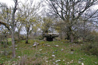 Le dolmen de Lou Bosc