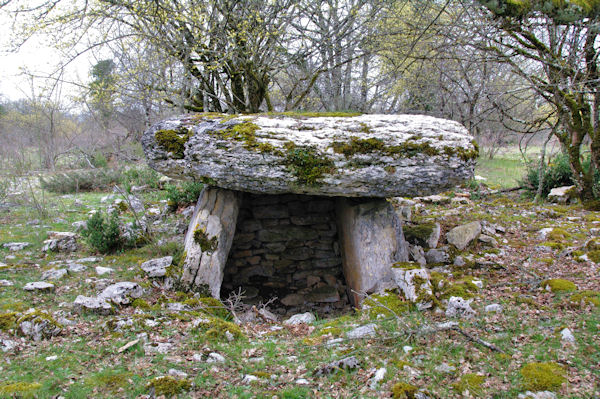 Le dolmen de Lou Bosc