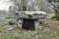 Le dolmen de Lou Bosc