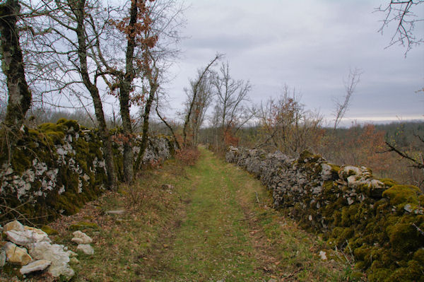 Le chemin sous Pech Barbier