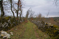 Le chemin sous Pech Barbier