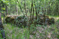 La table d_un dolmen au Causse de Cousis?