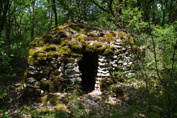 Un gariotte dans la fort au Pech de Rcobert