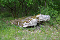 Un table de dolmen vers Roquebert?