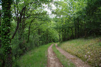 Le chemin en remontant vers le Pech de Rcobert