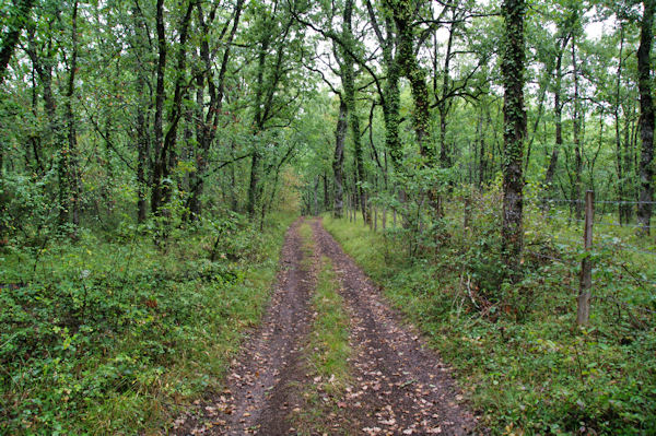 Le chemin vers Les Cros