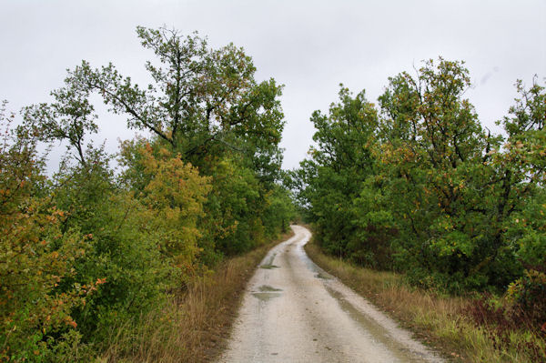 Le chemin au dessus du Cuzoul