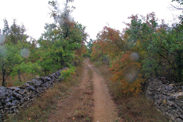 Le chemin au dessus de Cayrac