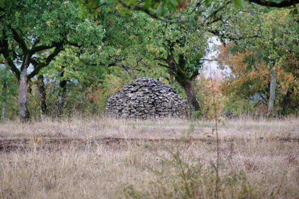 Une cazelle aux Bos