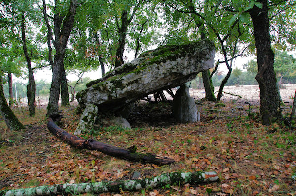 Un dolmen  La Pierre Leve