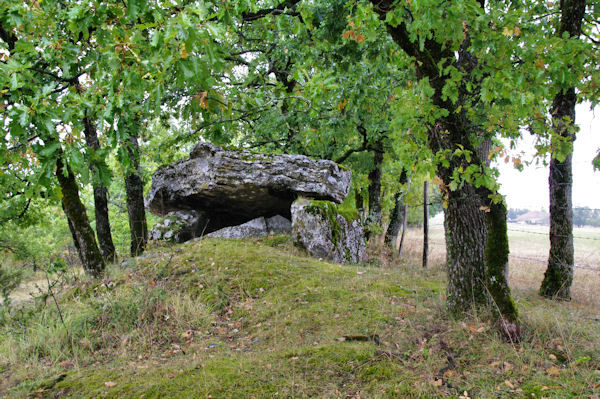 Un autre dolmen aux Escudelets