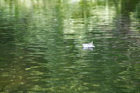 Au fil de l'eau verte du Cele