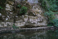 Les bords du Cele vers Trassac