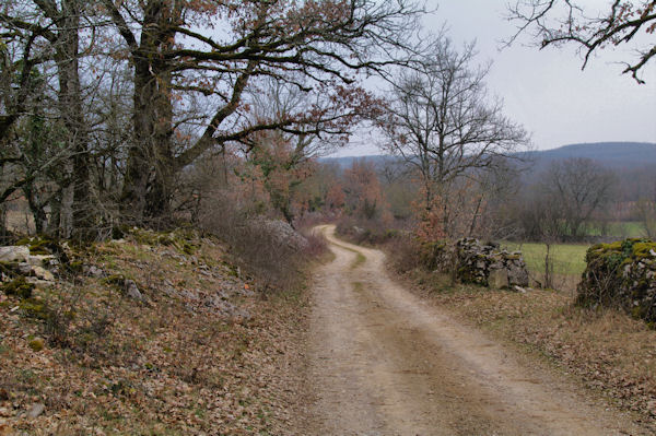 Le chemin vers Bourel