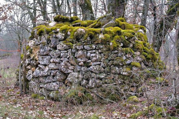 Une cariotte vers la Combe Bernard