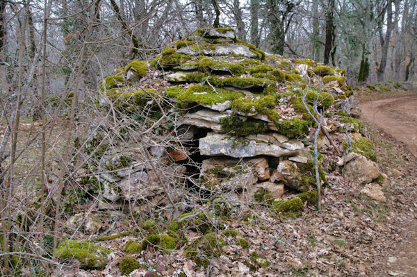 Une cariotte au Pech Mouillac