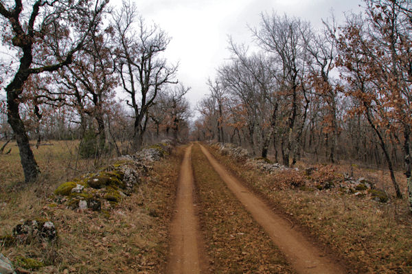 Le chemin  la Combe du Cornier