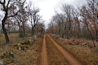 Le chemin  la Combe du Cornier