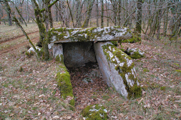 Un dolmen  la Combe du Cornier