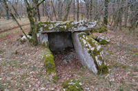 Un dolmen  la Combe du Cornier