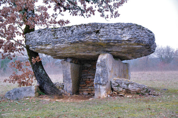 Un dolmen vers Ferrires Bas