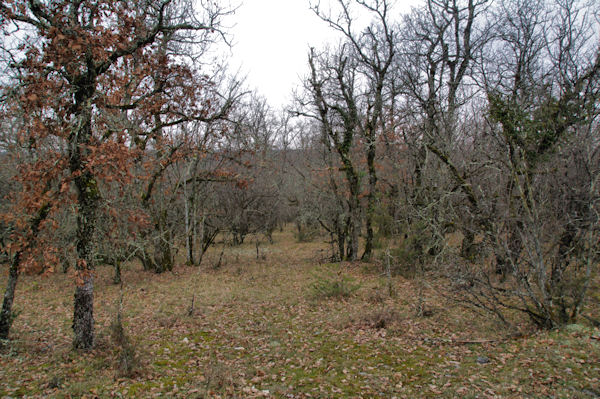 Hors sentier vers Combe Rouge