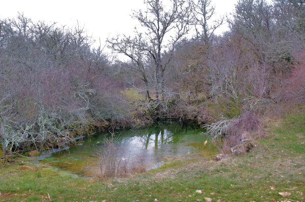 Un lacquet vers Combe Rouge