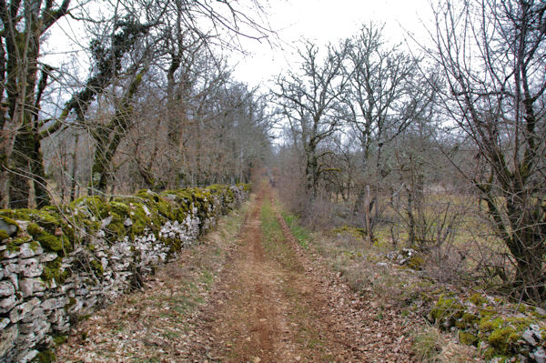 Le chemin vers Pech Canot